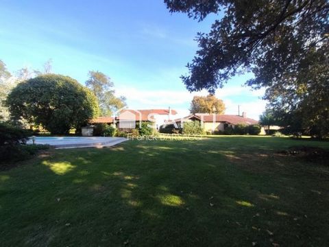 photo no. 15