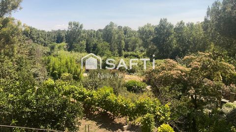 photo no. 14