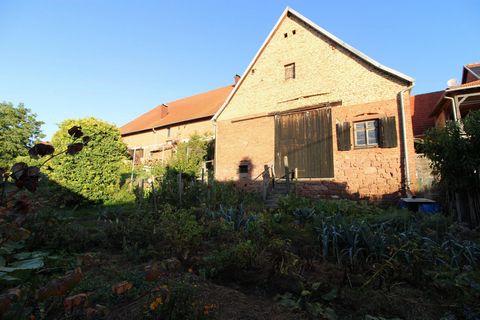 photo no. 12