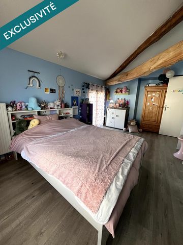 photo no. 11