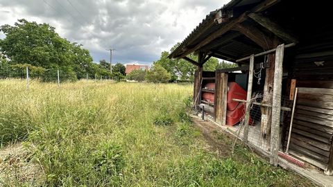 photo no. 17