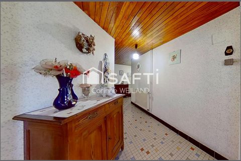photo no. 5