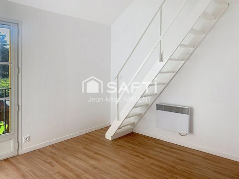 photo no. 7