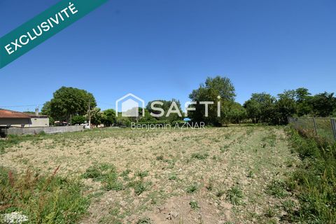 photo no. 6