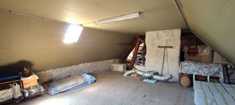 photo no. 19