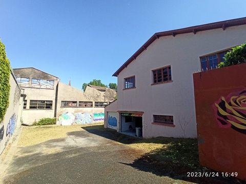 photo no. 3