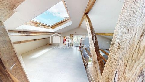 photo no. 14