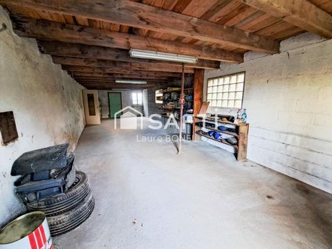 photo no. 6