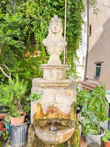 photo no. 14