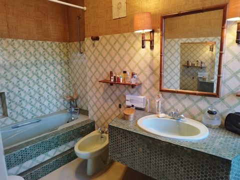 photo no. 21