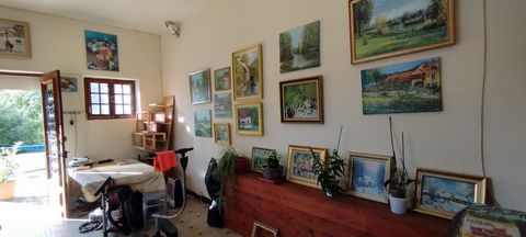 photo no. 8