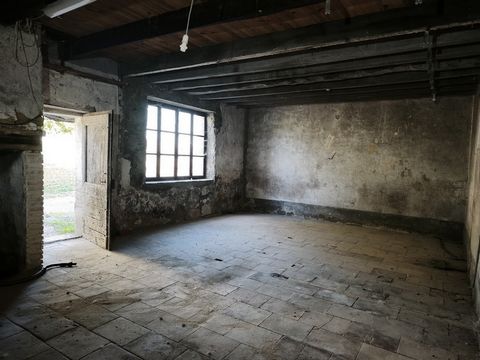 photo no. 35