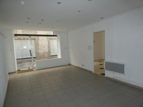 photo no. 12