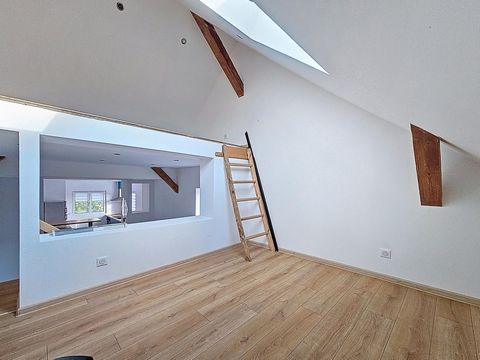 photo no. 14