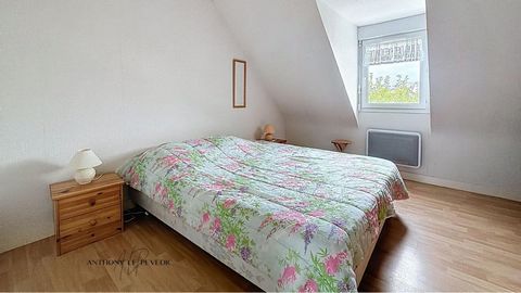 photo no. 2
