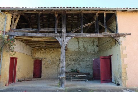 photo no. 10