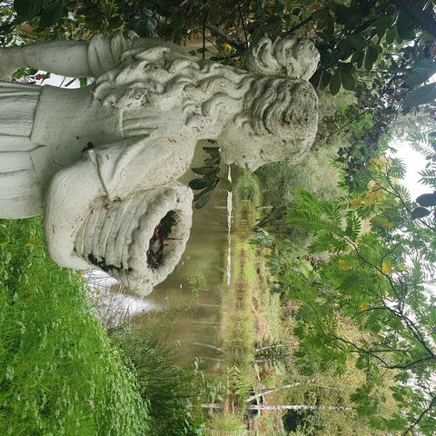 photo no. 11