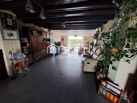 photo no. 11