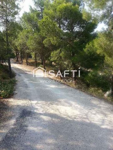 Maison plain pied avec vue panoramique