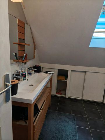 photo no. 9