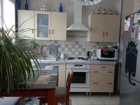 photo no. 8