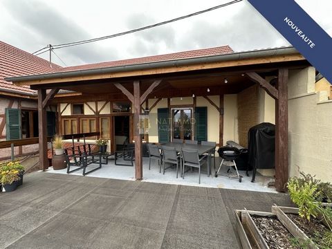 photo no. 15