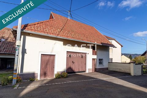 photo no. 15