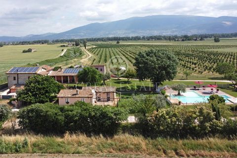 This beautiful farmhouse, built in 1800, was carefully renovated in the 2000's and despite being in a flat position it enjoys a fabulous view of the surrounding plain, the magnificent views of the city of Assisi and the green Umbrian hills. The prope...