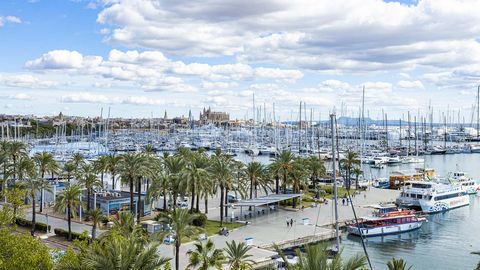 Luxury seafront apartment overlooking Palma´s famous Paseo Marítimo This impressive apartment holds a coveted seafront position within an exclusive new development; overlooking Palma bay, the marina and cathedral, it is perfectly situated for explori...