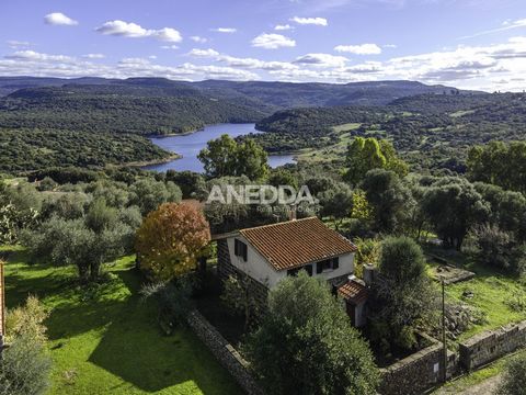Ghilarza - Loc. San Serafino Do you dream of escaping the hustle and bustle of the city and immersing yourself in the tranquility of nature? This Rustic Residence surrounded by greenery is the perfect solution for you. This charming abode offers a se...