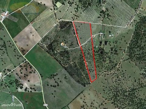 This land with 7.5 hectares located in Foros de Vale Figueira, Montemor-o-Novo, is rich in cork oak forests (cork oaks), has the feasibility of construction for a house up to 250 m2, is fenced and has good panoramic views. It has low voltage electric...