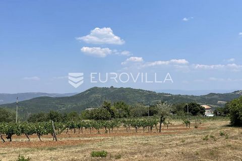 An excellent building plot of 1046 m2 with a permit for the construction of a single-storey villa with a swimming pool in a quiet location surrounded by greenery is for sale. The land measures 31.43 m x 32.04 m. Electricity is brought to the land. Th...