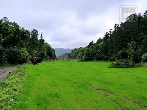 Large piece of land for sale at the parish of Sete Cidades in Ponta Delgada, Sao Miguel island, Azores, Portugal. Large rustic land with 33,580 m2, consisting of pasture and forest of cryptomeria and acacia trees. Located at Rua das Praias, about 350...