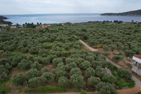 Property Code. 11425 - Plot FOR SALE in Thasos Koinira for €140.000 . Discover the features of this 1750 sq. m. Plot: Distance from sea 500 meters, it comes width a building, Facade length: 36 meters, depth: 50 meters Excellent plot of land in the vi...