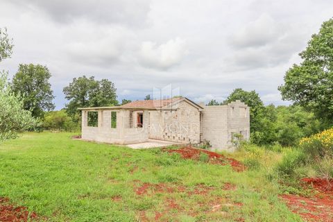 Location: Istarska županija, Rovinj, Rovinj. Istria, Rovigno, Dintorni Vendiamo una casa immersa nel verde dei dintorni di Rovigno. La casa è isolata ed è circondata da una bellissima foresta. La proprietà, che si estende su una superficie di 3132 m²...