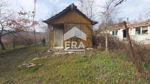 ERA Varna Trend offers for sale two neighboring plots, respectively with an area of 549 sq.m and 687 sq.m, with two separate identifiers, and the properties are sold together. The total area of the plots is 1,236 sq.m, facing 18 m on the street. The ...