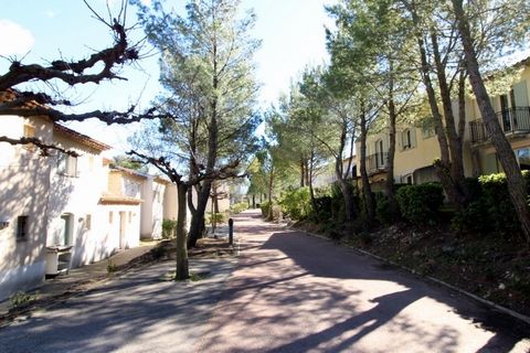 photo no. 1