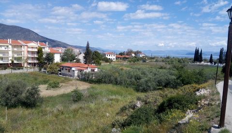 House with land for sale in Paralio Astros. Detached house, unique in the area, just 500 m from Atsiganos beach, legally built on a plot of 2144 sq.m. with 45 olive trees. The house is 75 sq.m., consists of living roon, kitchen, 2 bedrooms and 1 bath...