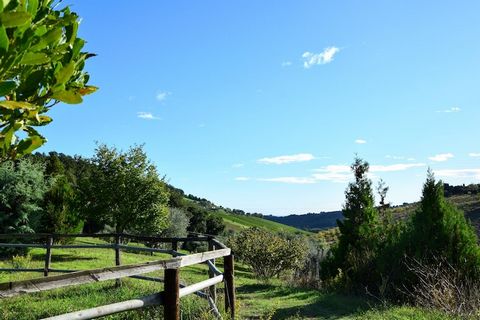 ¿Cómo disfrutar de la naturaleza sin renunciar al confort? La mejor manera es probar una estancia Glamping. La tienda tiene capacidad para 5 personas, con 2 dormitorios y un baño con ducha de hidromasaje. El aire acondicionado te mantendrá fresco inc...