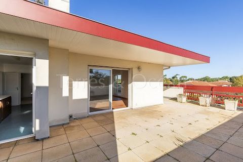 En dernier étage d'une résidence en plein centre d'Hossegor, appartement de charme de 88 m2 avec beaucoup de cachet et une grande terrasse de plus de 80m2. Comme une maison sur les toits, il offre de beaux volumes, un séjour avec charpente apparente ...