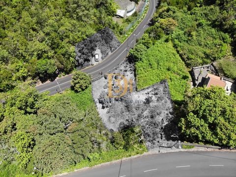 Locatie: Chão da Ribeira, Seixal, Madeira, Portugal Prijs: €69,000 Oppervlakte: 600 m² Dit land biedt gemakkelijke toegang tot de weg, waardoor transport en bouw gemakkelijker worden. Stel je voor dat je wakker wordt met een panoramisch uitzicht op d...