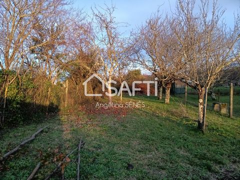 Située dans la charmante commune de Plassac (33390), cette propriété bénéficie d'un environnement calme et verdoyant, idéal pour les amoureux de la campagne. À proximité immédiate, vous trouverez des arrêts de bus, des écoles, un lycée, un collège et...