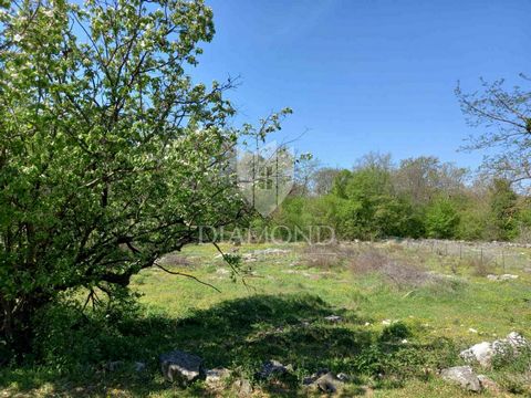 Location: Istarska županija, Vrsar, Vrsar. Baugrundstück in der Umgebung von Vrsar – Perfekte Gelegenheit zum Bauen! In einem ruhigen Dorf zwischen Vrsar und Poreč, nur 12 km von den nächsten Stränden entfernt, steht ein attraktives Baugrundstück am ...