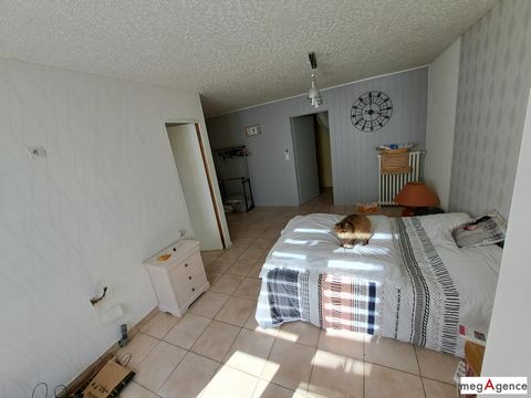 photo no. 13