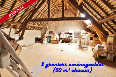 photo no. 11
