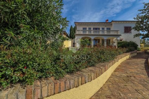 Location: Istarska županija, Umag, Umag. Istria, Umago Questa bellezza si trova in una zona tranquilla di Umago con vista panoramica sulla città di Umago e sul mare. La casa si trova su un terreno di 1191 m2, di cui la casa occupa 250 m2. Si estende ...