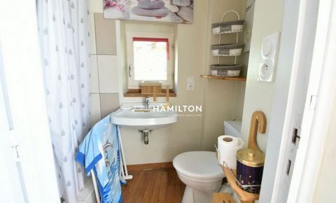 photo no. 11