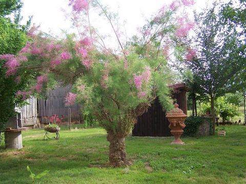 photo no. 35