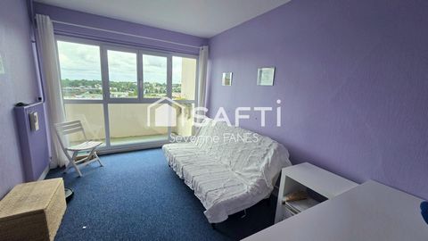 photo no. 6