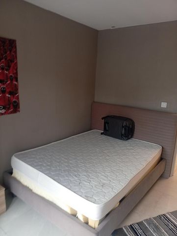 photo no. 11